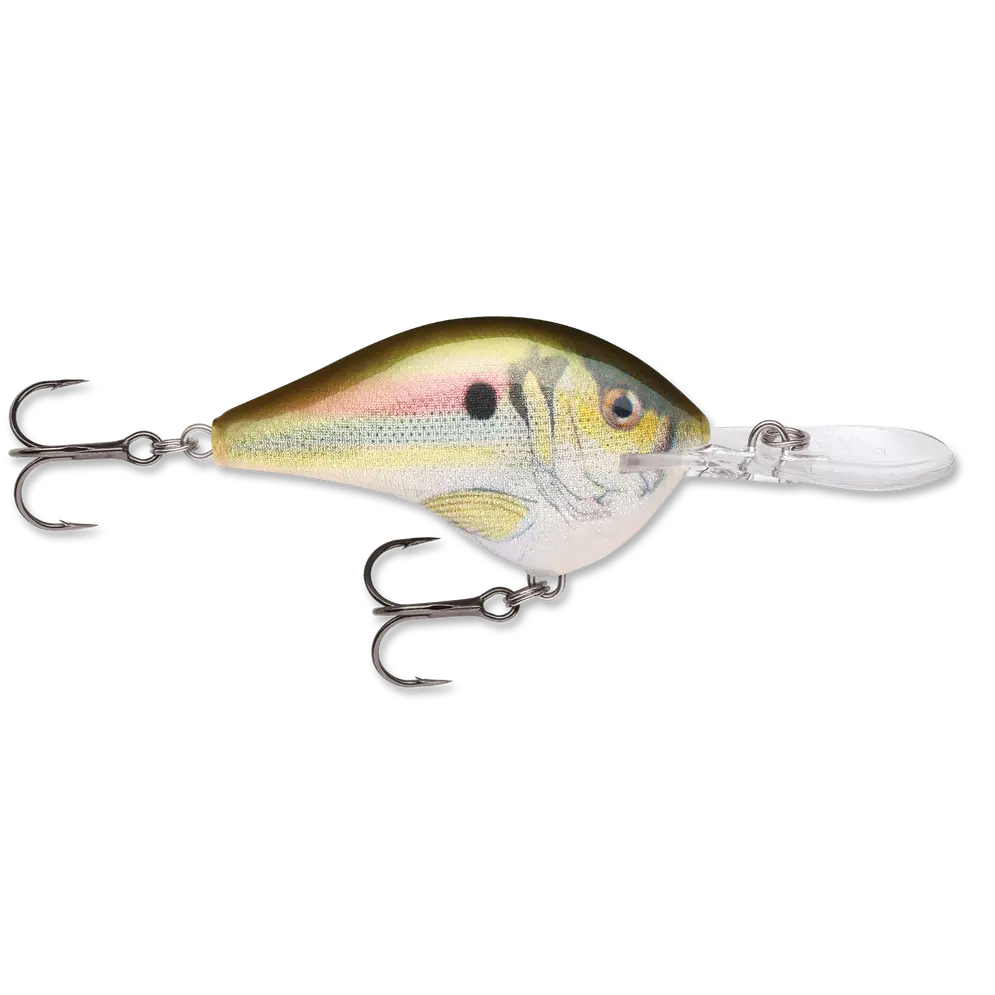 Live River Shad