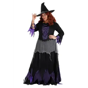 Plus Size Midnight Purple Witch Costume for Women