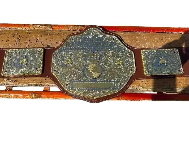 BIG GOLD World Heavyweight Championship Replica Tittle Belt DieCasting Adult 6MM