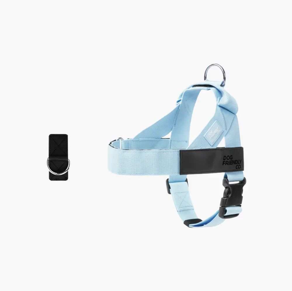 Sky Blue