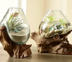 Two Teak Wood Terrarium Hand Blown Glass & Teak Wood Root, Med Terrarium Container, Fish Bowl, Betta Fish Bowl, Plants, Sculpture
