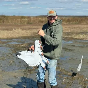 Phantom Decoys Snow Geese Silhouettes