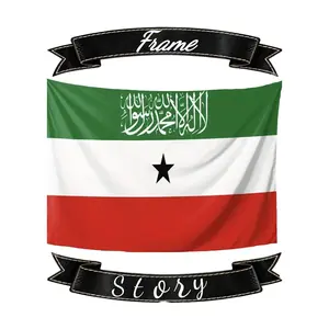 Velvet, Heavyweight Decor for Bedroom, Living Room, Dorm - No Electricity Needed 60X40 Decoration GiftSomaliland Flag Tapestry, Wall Hanging, Woven Peach Skin