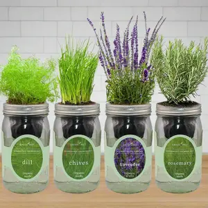 Hydroponic Herb Bundle - Chives, Dill, Lavender, Rosemary