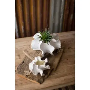 Set Of Two Organic Ceramic Planters