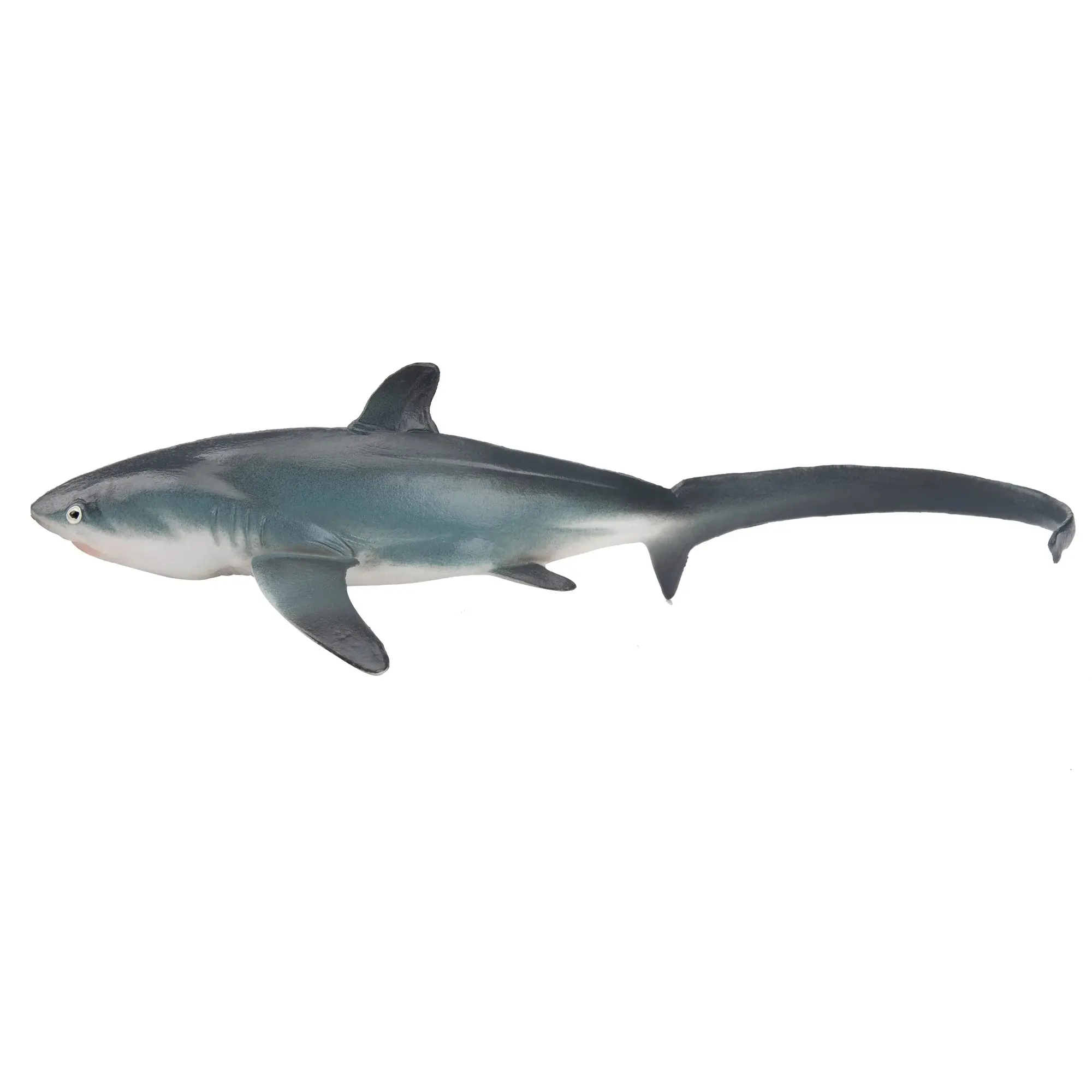 Toymany Hand-Painted Thresher Shark Figurine – Realistic Marine Animal Model, Perfect for Early Education, Montessori Sensory Play, Cake & Party Decorations, Desk & Home Décor, Thoughtful Gifts, and Collectible Figurine