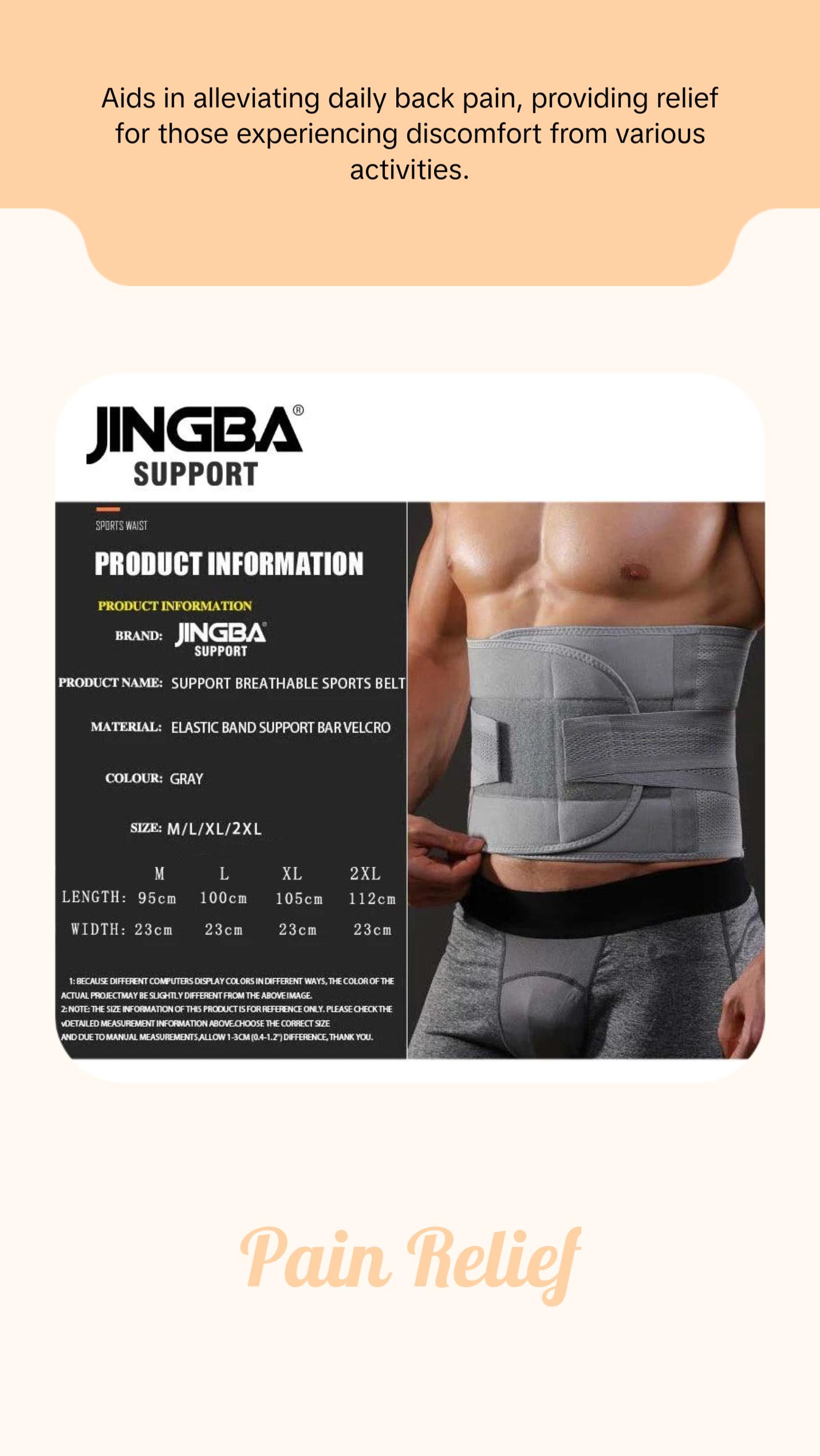Back Support Belt