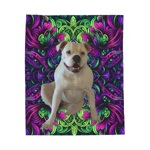 Velveteen Plush Blanket