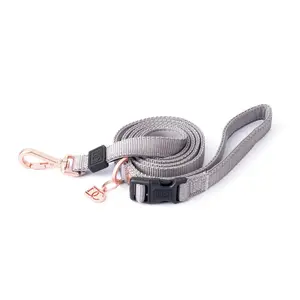 Secure-In-Place Dog Leash - Steel