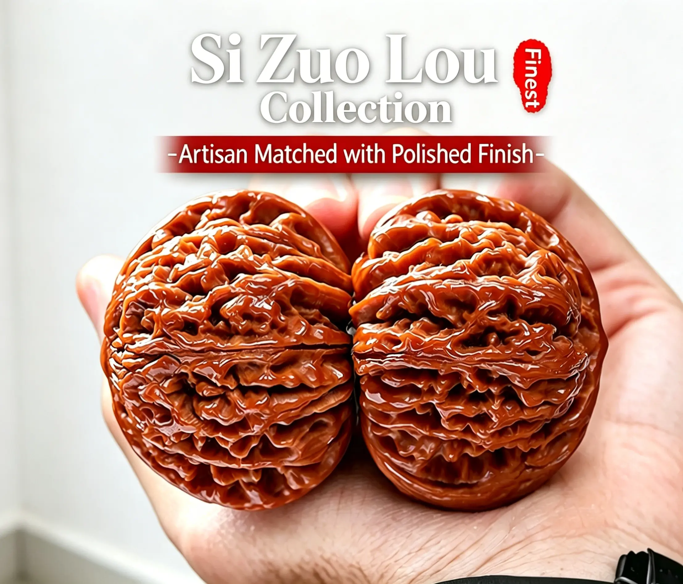 Unisex Natural Raw Walnut Pair - Untreated Organic Hard Shell Specimens for Collecting, Tactile Surface Stress Relief Toy, Raw Walnuts