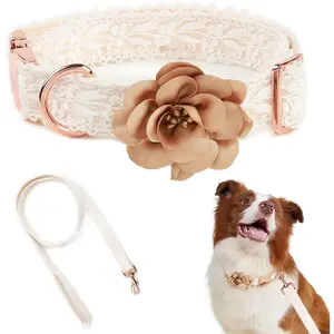Beige Dog Collar and Leash Set Adjustable Handmade Embroidered Lace Dog Collar for Large Dogs with Flowers and Metal Clasp Leash for Pet Wedding Birthday Collar(Large)
