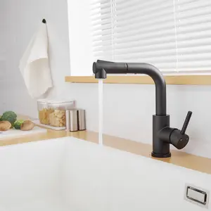 Single Handle Pull Out Kitchen Faucet