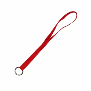 Resistance Band Single Hinge Door Anchor