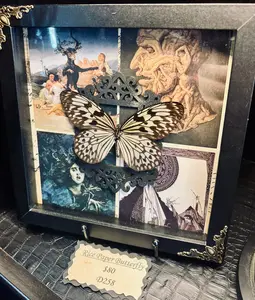Tree Nymph Butterfly Shadow Box D258