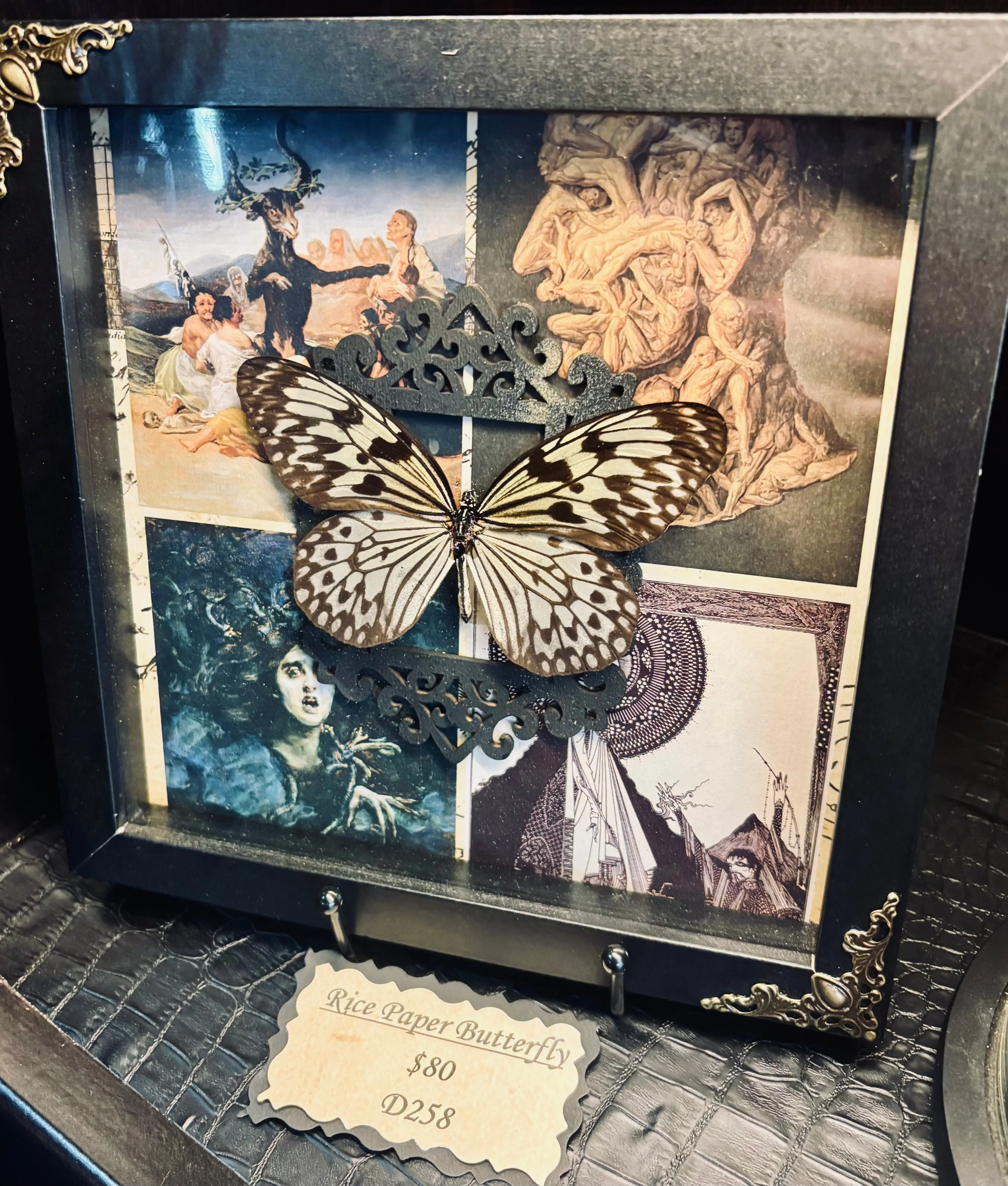 Tree Nymph Butterfly Shadow Box D258