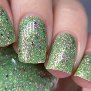 Snap! Goes the Dragon (June 2025)