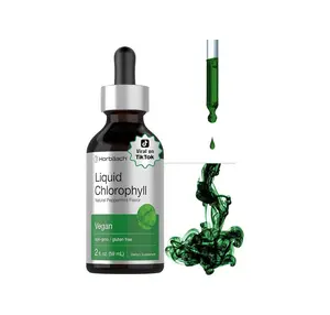 BIG SALE 2026-Horbäach Liquid Chlorophyll Drops | 2 oz | Vegan, Non-GMO, and Gluten Free Formula | Natural Peppermint Flavor