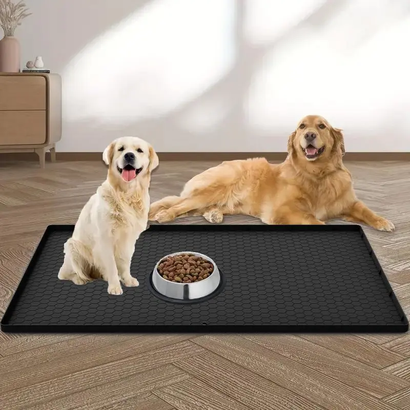 best dog chew toys BetterBone Chew Toy  Modern Companion