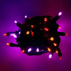 50 5mm ColorSplash Victorian Red, Orange, Purple LED Christmas Lights, 6" Spacing