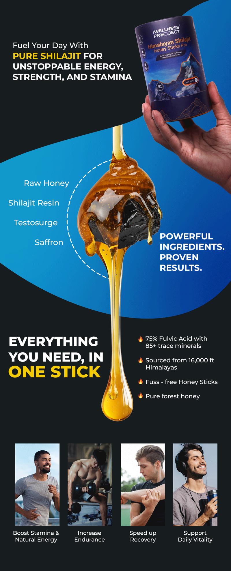 10-in-1 Pure Himalayan Shilajit Sticks Pro (Classic Honey) - Pack of 10