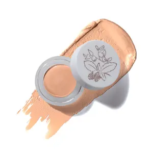 Fruit Pigmented® Long Last Concealer with Super Fruits Fruit Pigmented® Long Last Concealer with Super Fruits