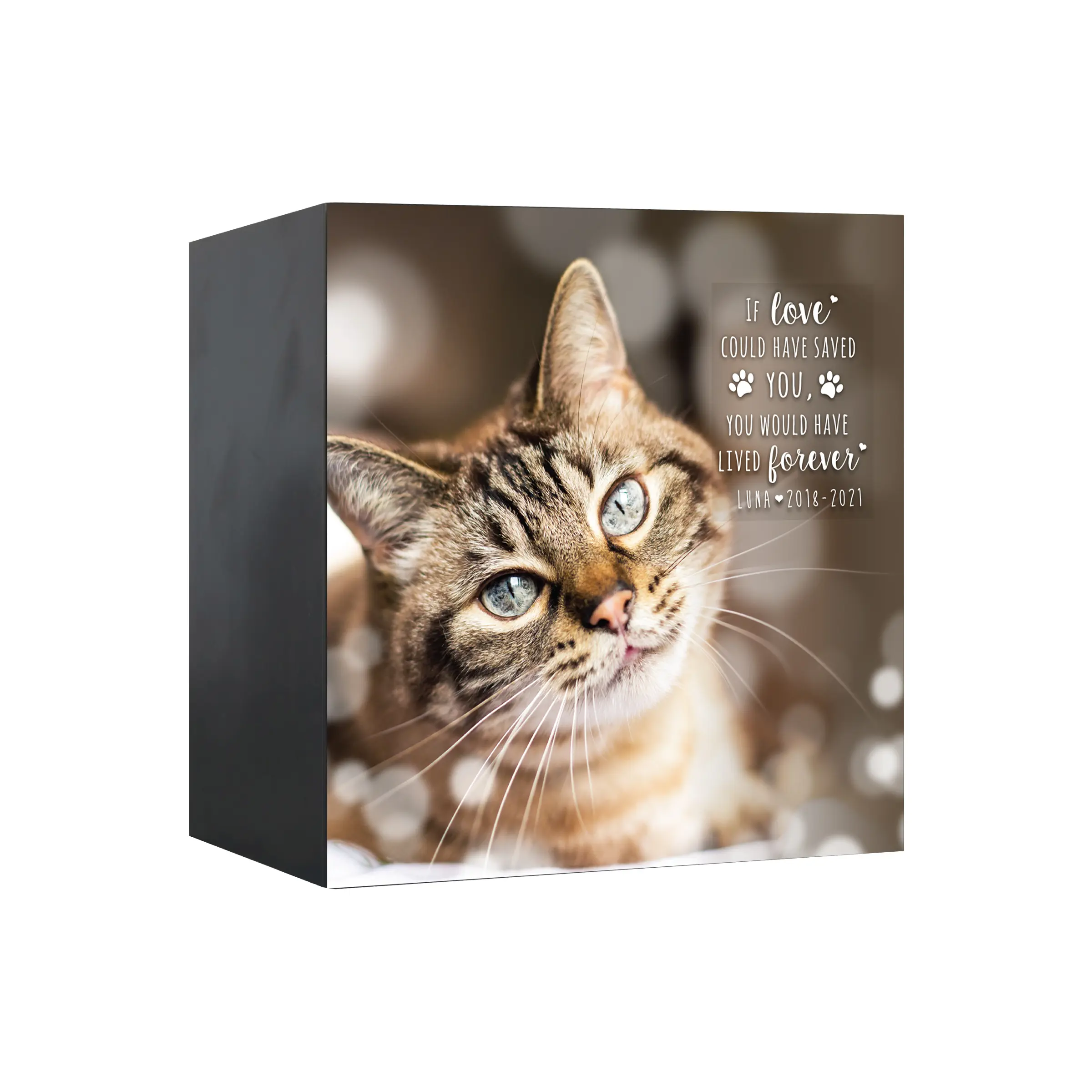 Pet Cremation Personalized Pet Memorial Shadow Box Urn Dog Loss Cat Memorial Sympathy Gift for Pet Lovers | If Love Could Have Saved You