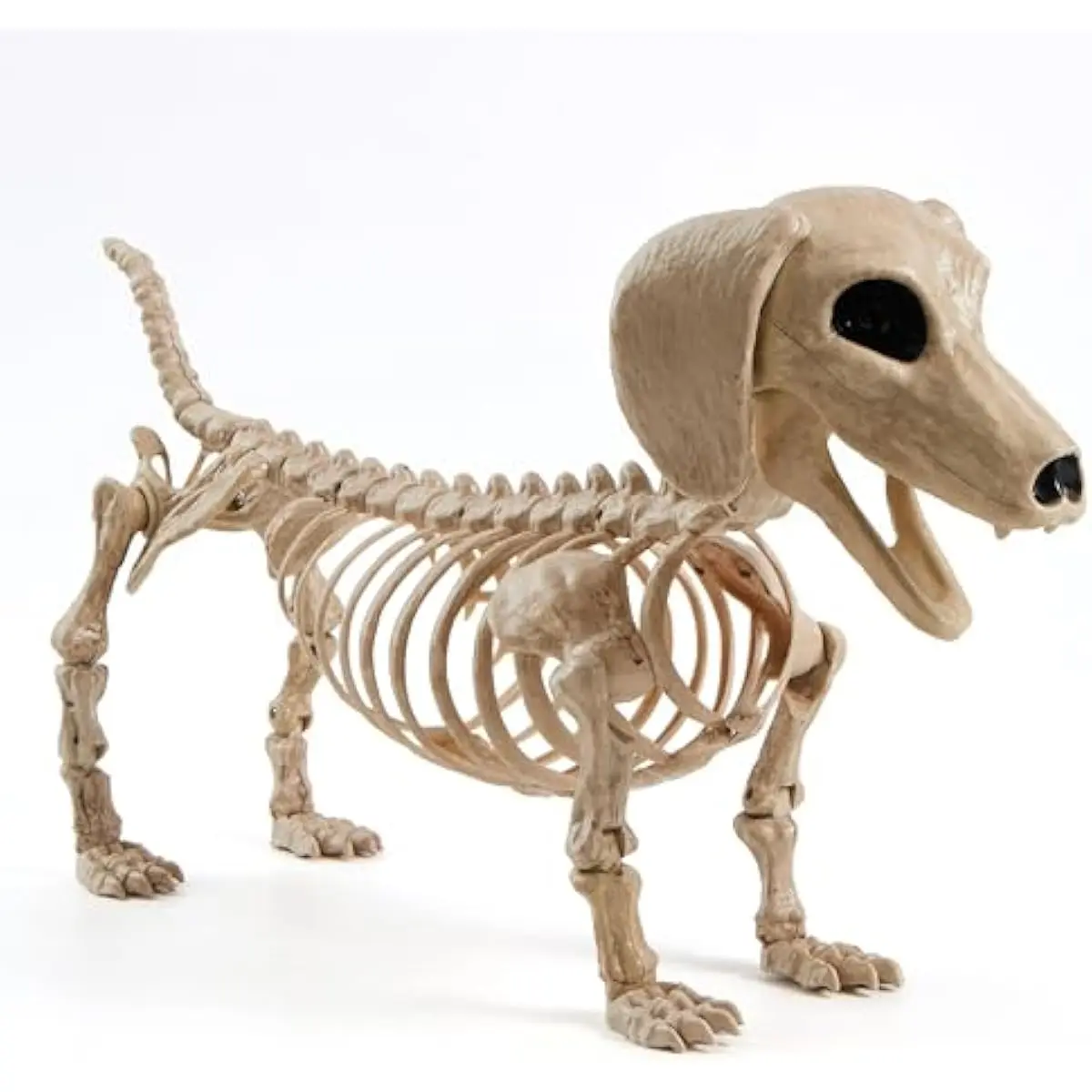 Wiener Dog Skeleton 24 Plastic Animal Posable Skeleton Halloween Decorations with Movable Joints for Graveyard Scenes Haunted House Prop Party Decor Spooky Indoor Outdoor Decorations