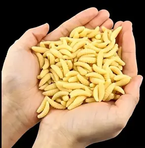Worm Lures - Freshwater Soft Plastic Meal Worm Grub Larvae Maggot Bread Worm Fishing Lures 50-100 Pack