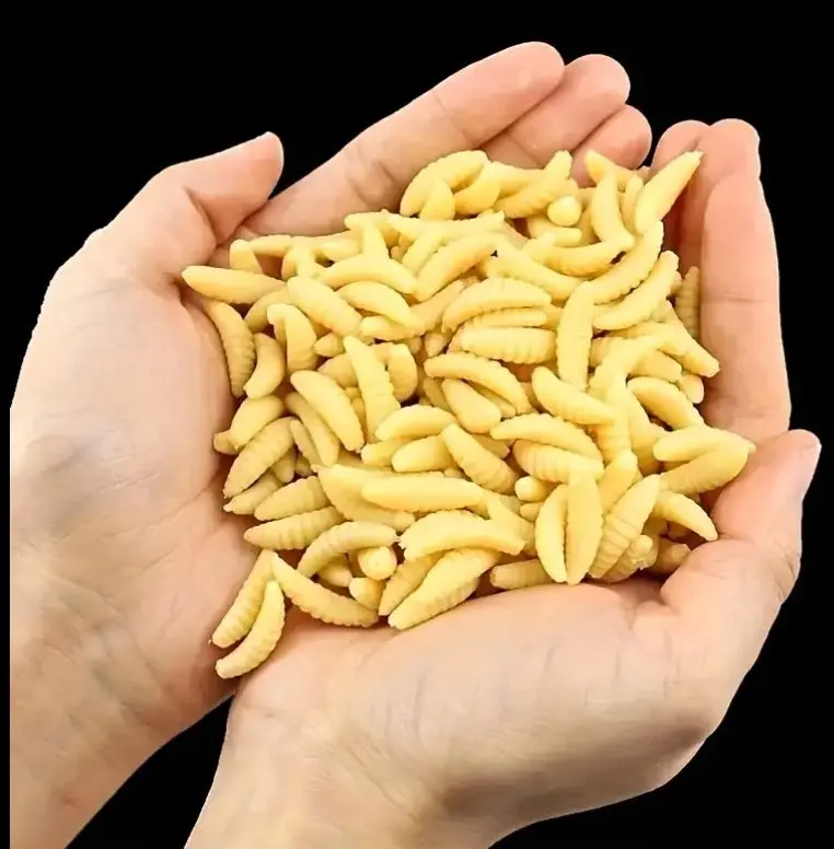 Worm Lures - Freshwater Soft Plastic Meal Worm Grub Larvae Maggot Bread Worm Fishing Lures 50-100 Pack
