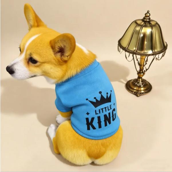 Crown Print Pet Sweatshirt for Dogs & Cats Soft Blue Pullover with Ribbed Cuffs Striped Letter Design Little King Theme