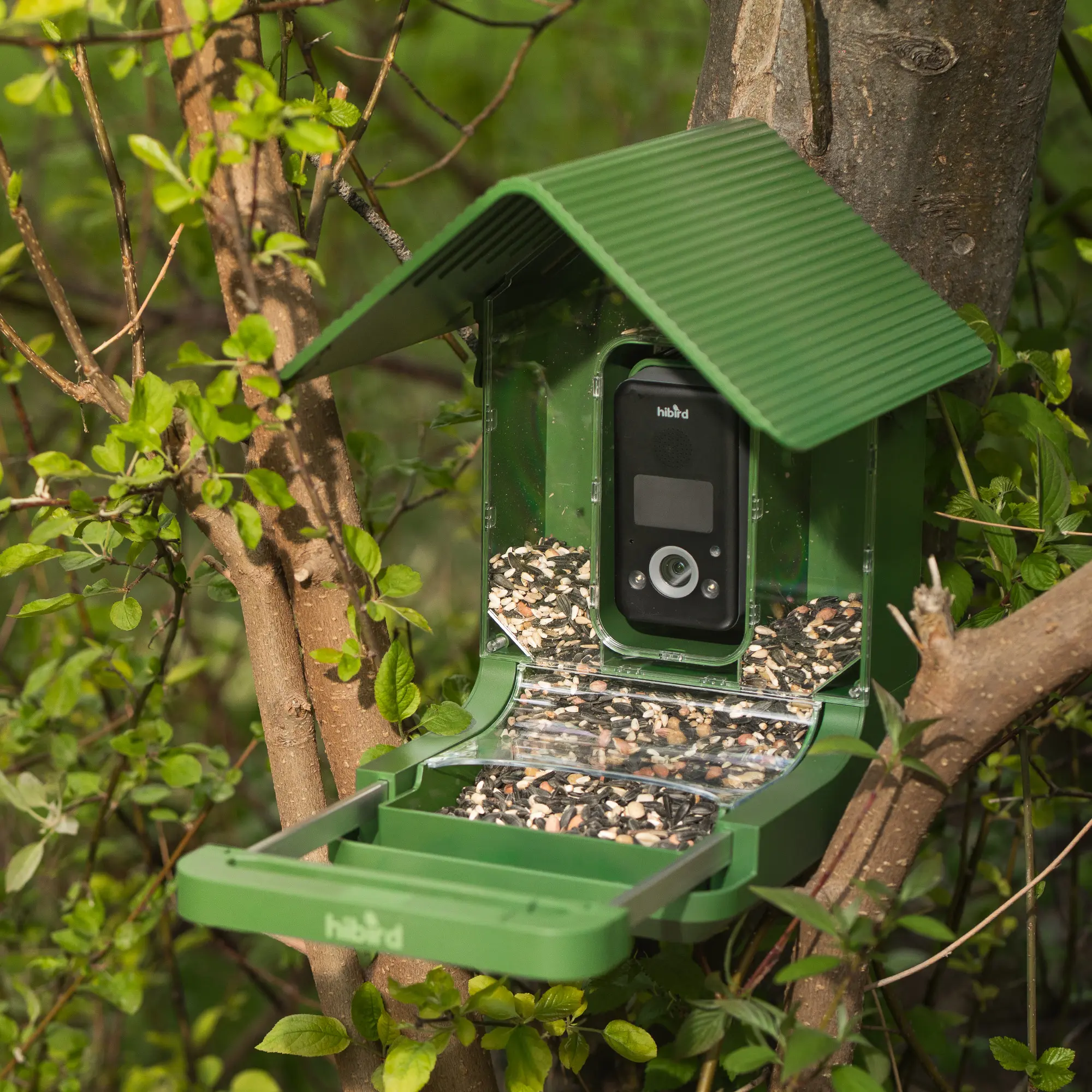 Hibird 4K HD Smart Bird Feeder with Camera, 2.4G/5G Dual WiFi Wireless Outdoor, Auto Higher Resolution Bird Video Capture, AI Identify 10000+ Species, 1080P Live Function for Everyone
