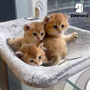 Cat Window Perchfor Large Cats,Glow in The Dark,Hammock with Hook Design Double-Sided Fabric Cover, Foldable Window Seat,Sunbathing