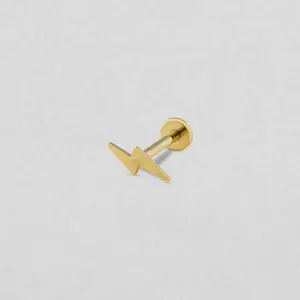Top RAYO Gold Titanium Piercing Jewelry for Various Styles