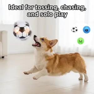 An Interactive Pet Toy: A Squeezable, Light-Up, Bouncy Disc—Ideal for Tossing, Chasing, and Solo Play