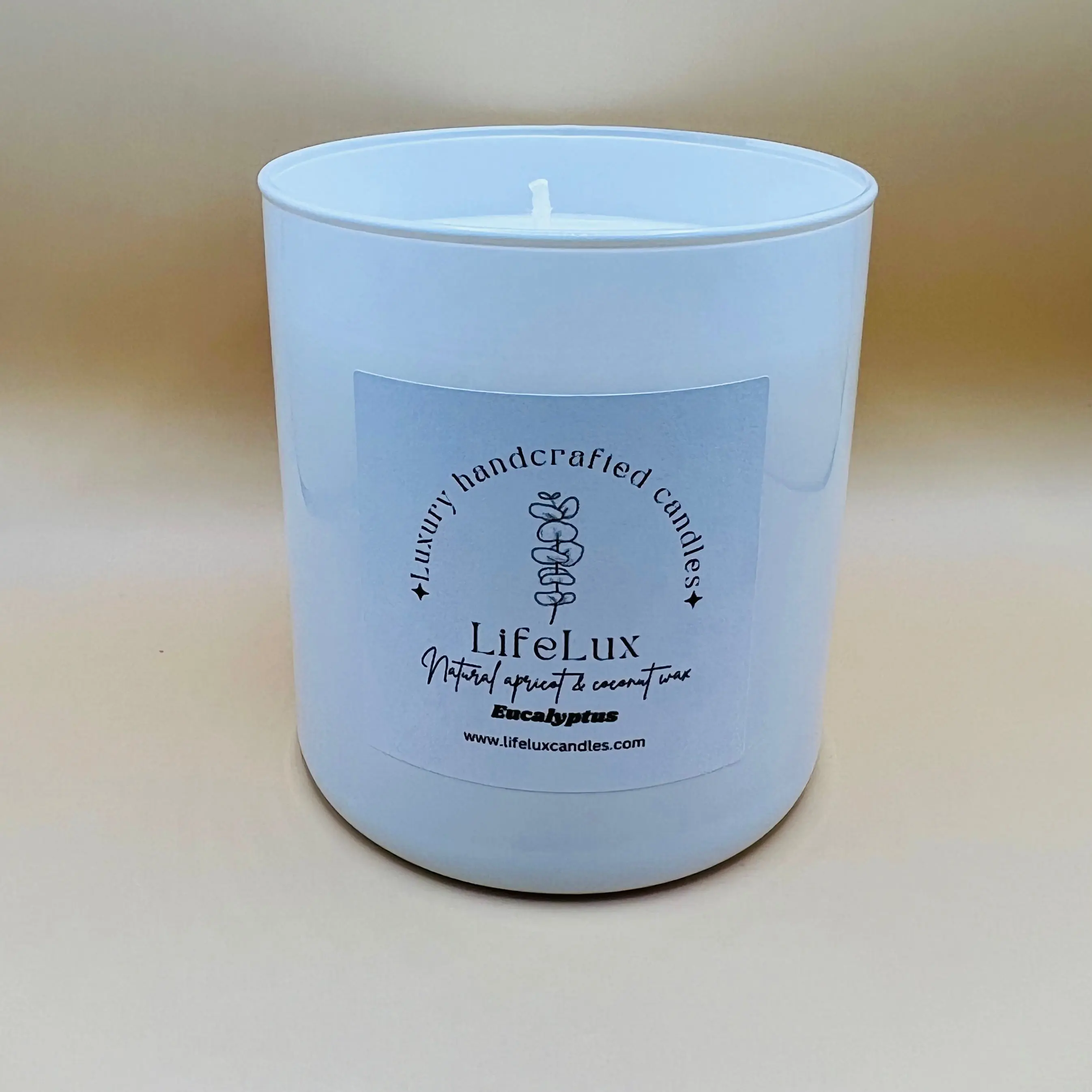 Eucalyptus Candle - Soothing Aroma for a Relaxing Room - 8.5 oz Apricot Coconut Wax