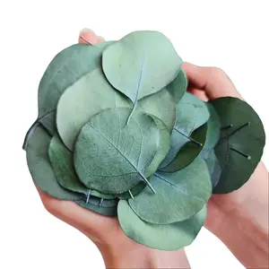 Natural Dried Eucalyptus Leaves, 100% Biodegradable Confetti, Rustic Boho Table Decor for Wedding, Bridal Shower, Baby Shower, Cake Table & Party Decor