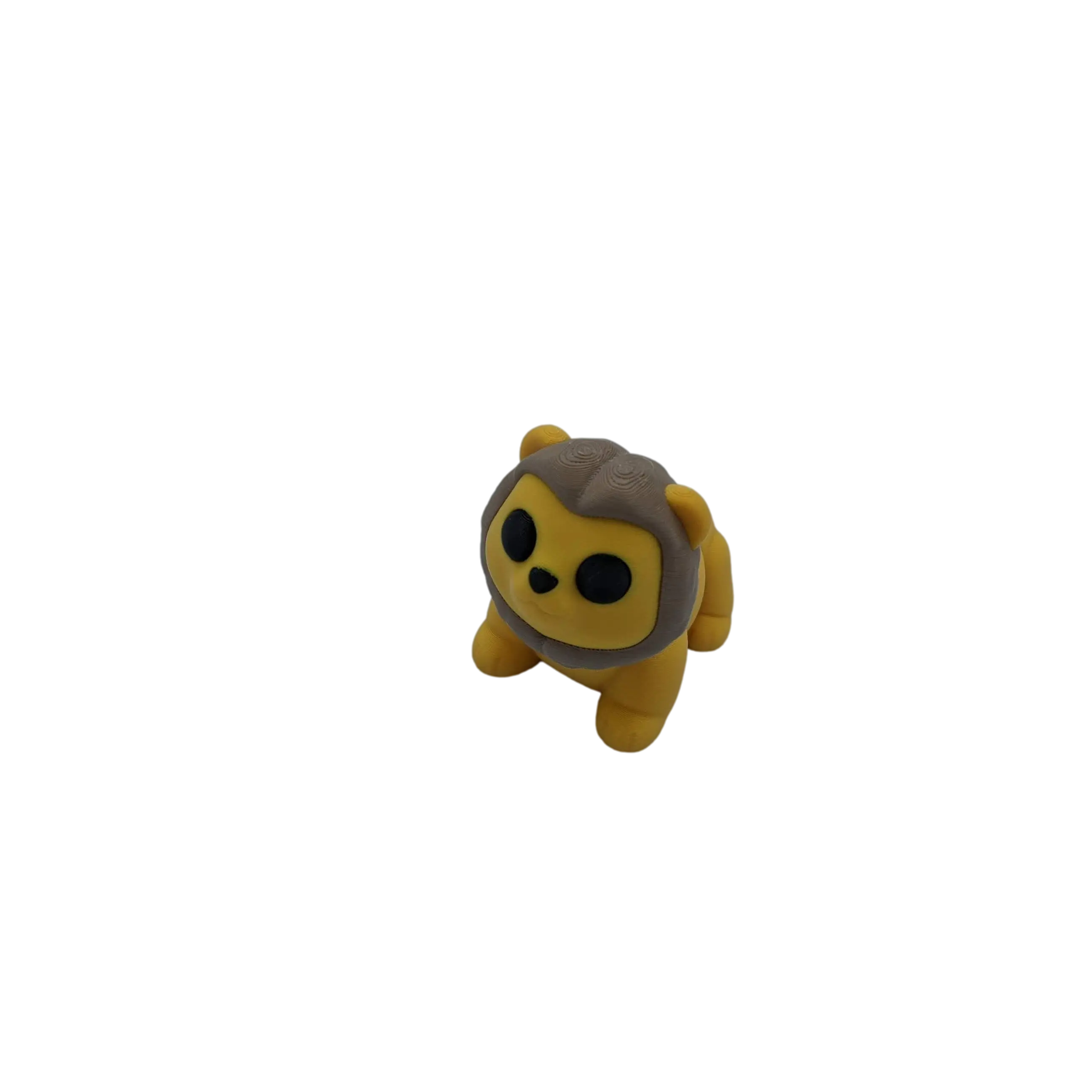 Baby Lion