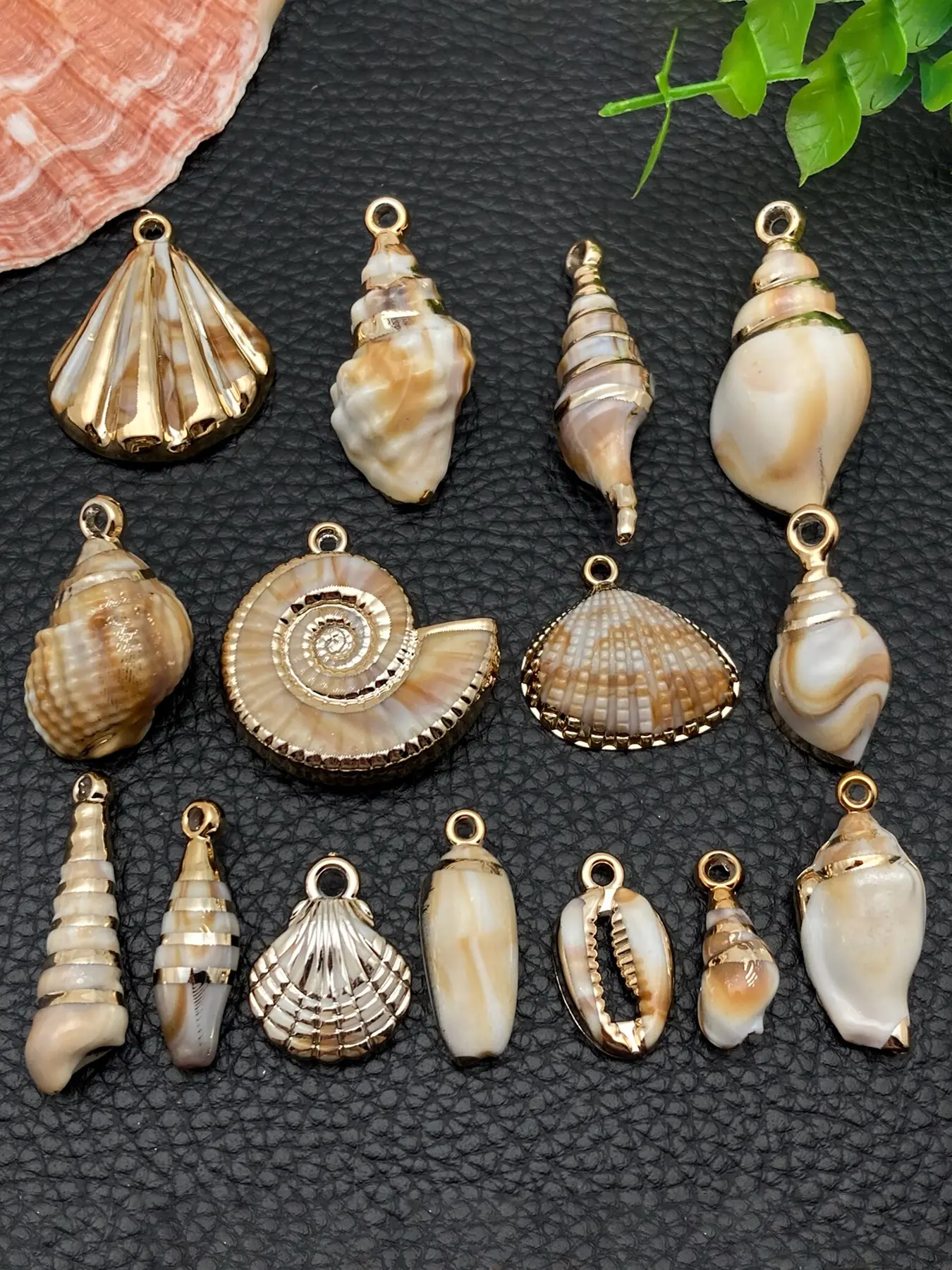 15pcs Mix Shell Pendants Acrylic Seashell Conch Cowrie Shells Charm Beach Shells Charm Summer Ocean Pendant Decor Beach Charms for DIY Jewelry Making Bracelets Necklaces Earrings