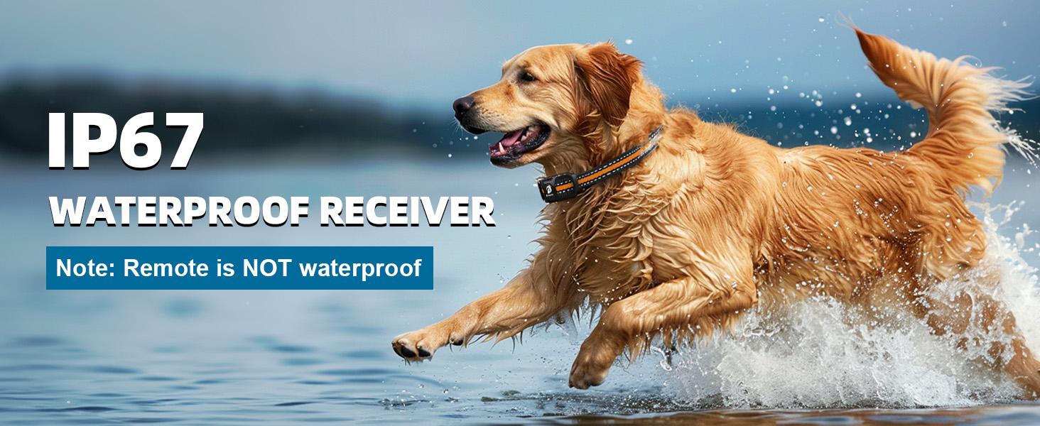 Dog Training Collar for Dogs - 3300Ft Dog Training Collar with Remote for 5-120lbs  Dogs