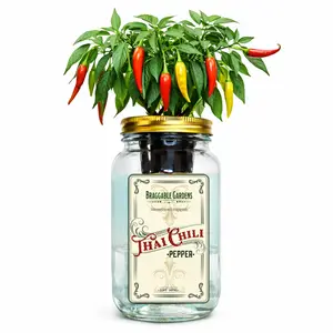 Braggable Gardens Mason Jar Hydroponic Thai Chili Pepper Grow Kit – Indoor Countertop Garden – Grow Fresh Spicy Peppers at Home – Self Watering Jar Planter with Nutrients & Seeds