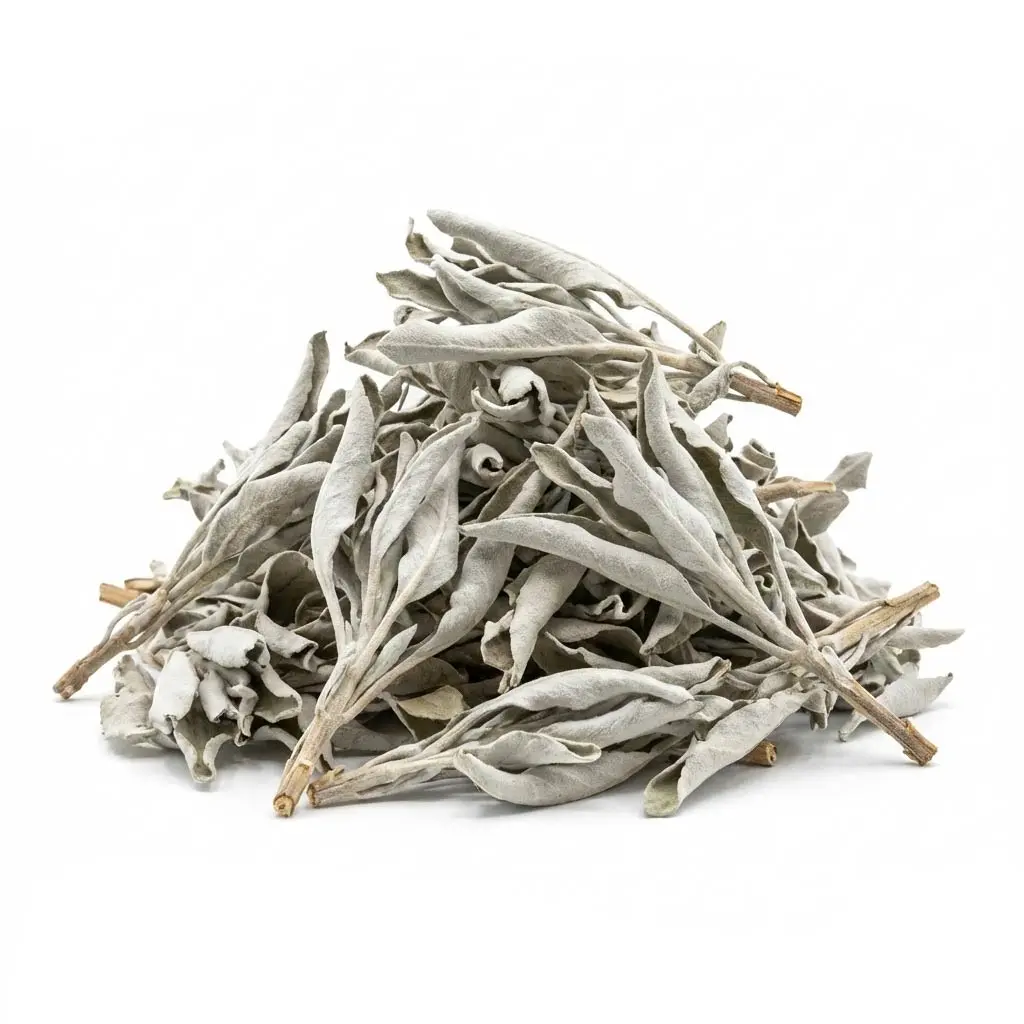 White Sage Dried Herb 1oz — Salvia apiana Loose Leaf for Ritual