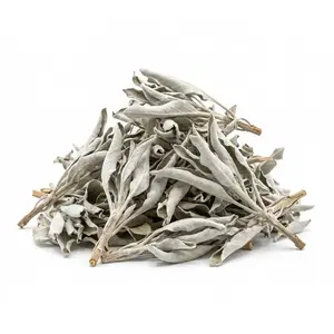 White Sage (1oz) – Traditional Salvia apiana for Space Neutralization