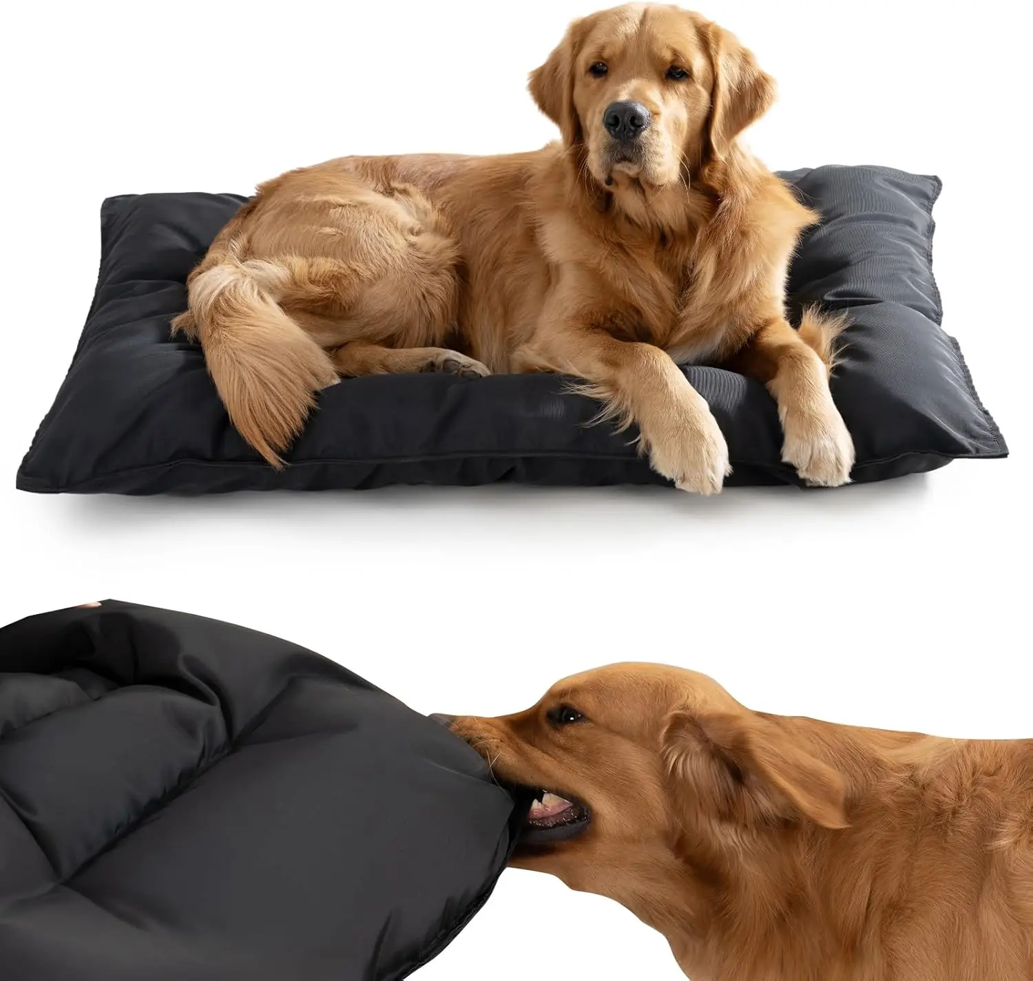 Chew Proof Indestructible Dog Bed - Durable Dog Bed for Aggressive Chewers, Machine Washable & Waterproof Indoor Outdoor Crate Pad, Tough Kennel Pad for Medium Dogs (Medium (22"x35"))