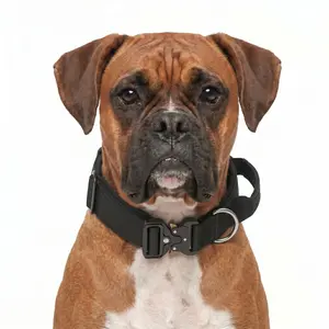 Heavy Duty Tactical Dog Collar with Control Handle No Pull K9 Training Gear Quick Release Metal Buckle Adjustable Thick Nylon Collar for Medium Large Dogs Walking Hiking Pitbull German Shepherd