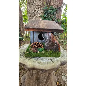 Hummingbird Home Nature