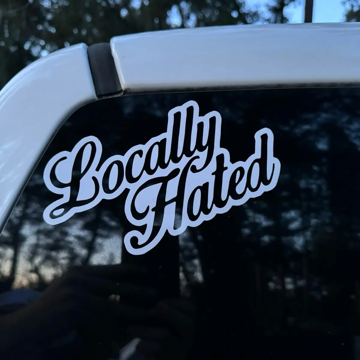 Locally Hated Vinyl Sticker