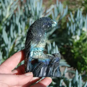 4.5in 311g Labradorite Carved Crystal Parrot