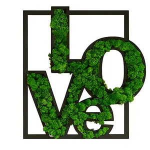 Real Preserved Moss Wall Decor, No Maintenance Required Eco Natural Green Wall Art Moss Frame Living Plants Vertical Garden,L-OVE Letter Art(20"*21")
