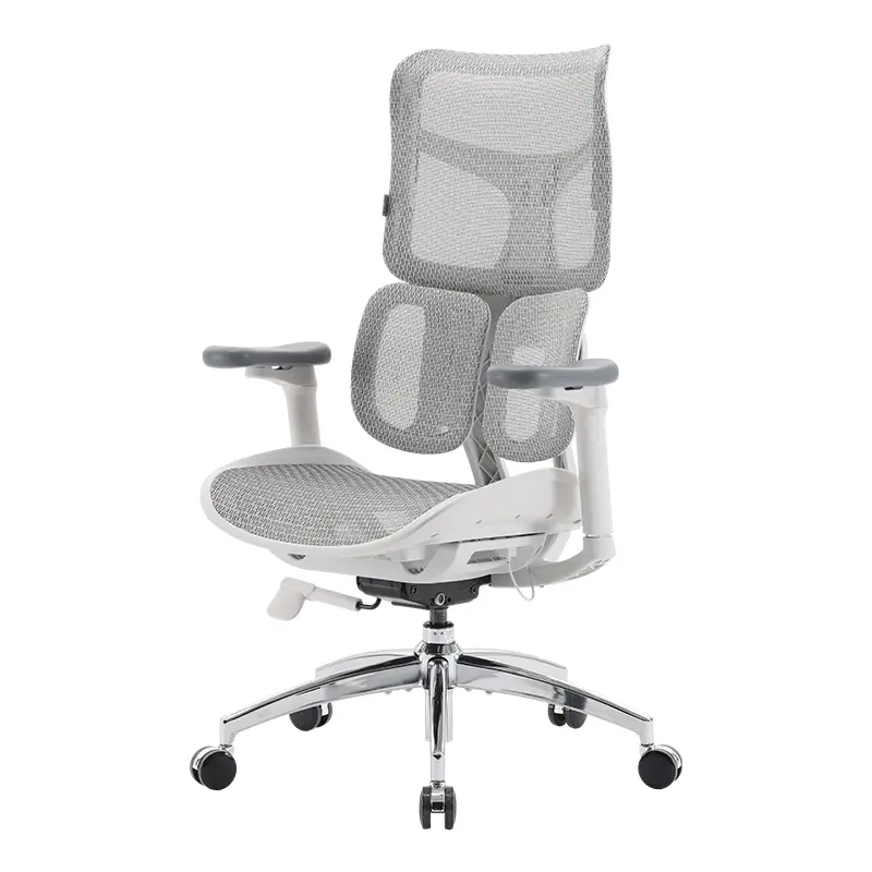 SIHOO S100 Ergonomic Chair with Dynamic Lumbar Support, Adjustable Backrest & Seat Depth, Breathable Mesh Office Chair for Long Sitting