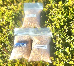 1 bag 3 ounces Pure frankenscents resin